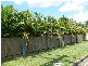 Caboolture QLD 4510
