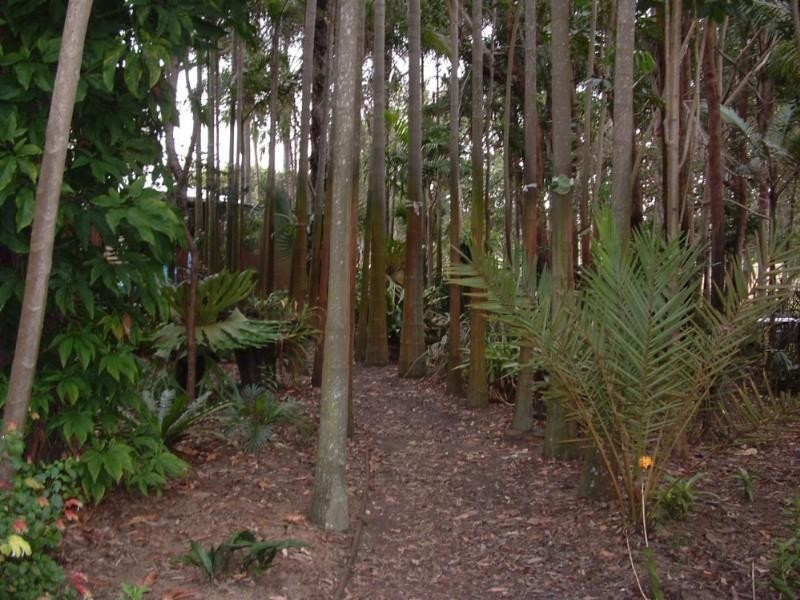 Burbank QLD 4156