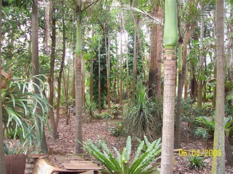 Burbank QLD 4156
