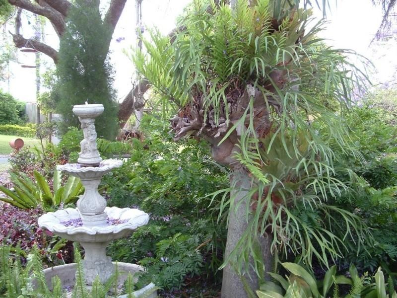 27 Pandora Street, Rochedale South QLD 4123