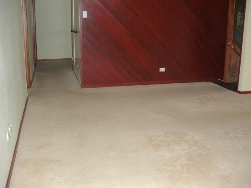 Rochedale South QLD 4123