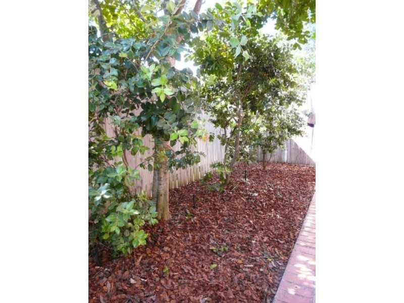 Kuraby QLD 4112
