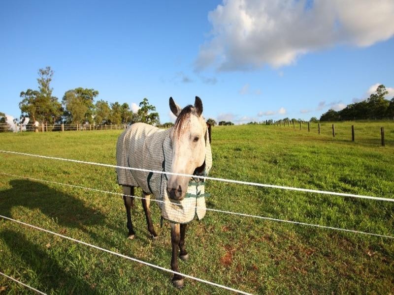 104 Kloske Road, Burbank QLD 4156