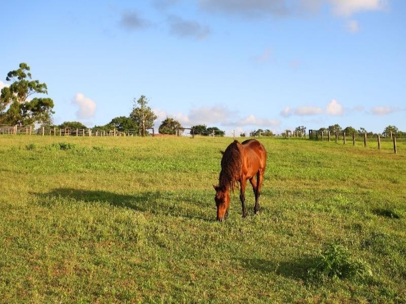 104 Kloske Road, Burbank QLD 4156