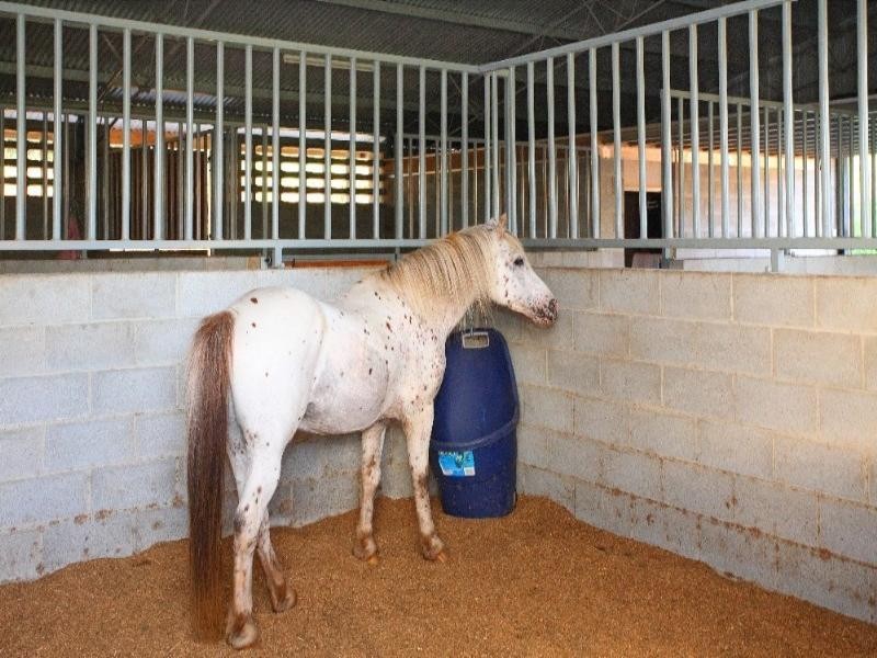 104 Kloske Road, Burbank QLD 4156