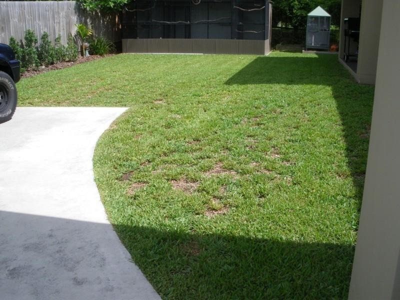 47a Sunningdale Avenue, Rochedale South QLD 4123