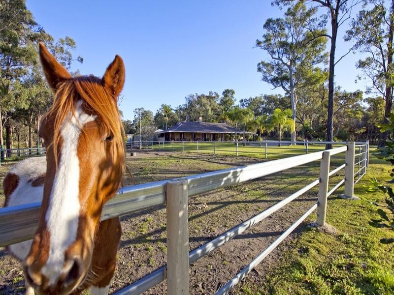 173 Leacroft Road, Burbank QLD 4156