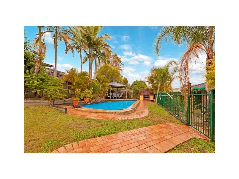 36 Passerine Drive, Rochedale South QLD 4123