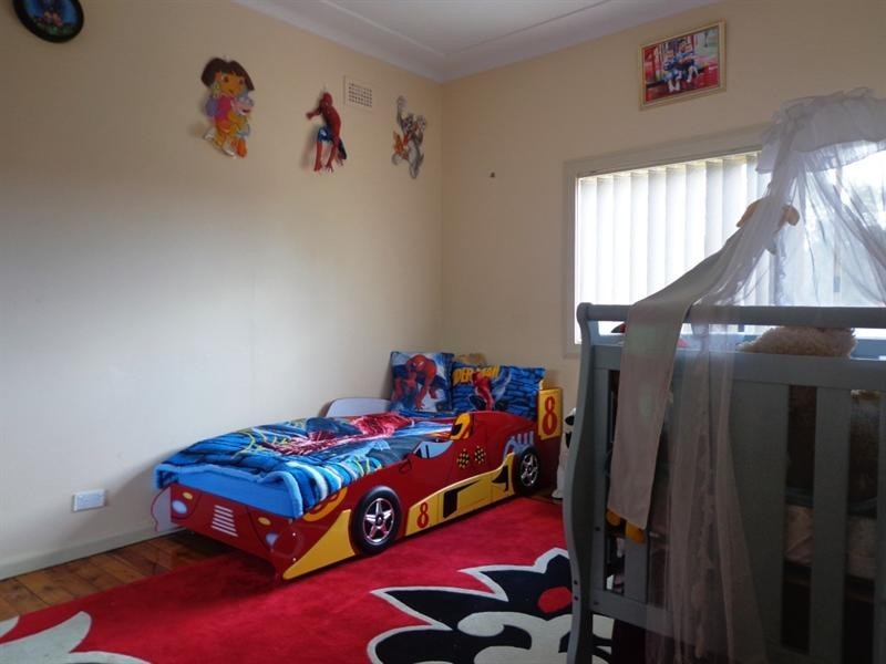 19 Ace Avenue, Fairfield NSW 2165