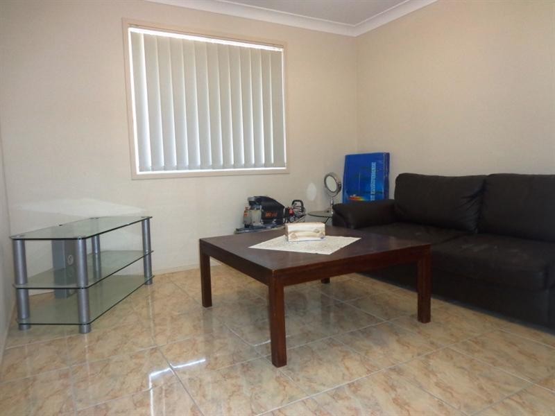 19 Ace Avenue, Fairfield NSW 2165