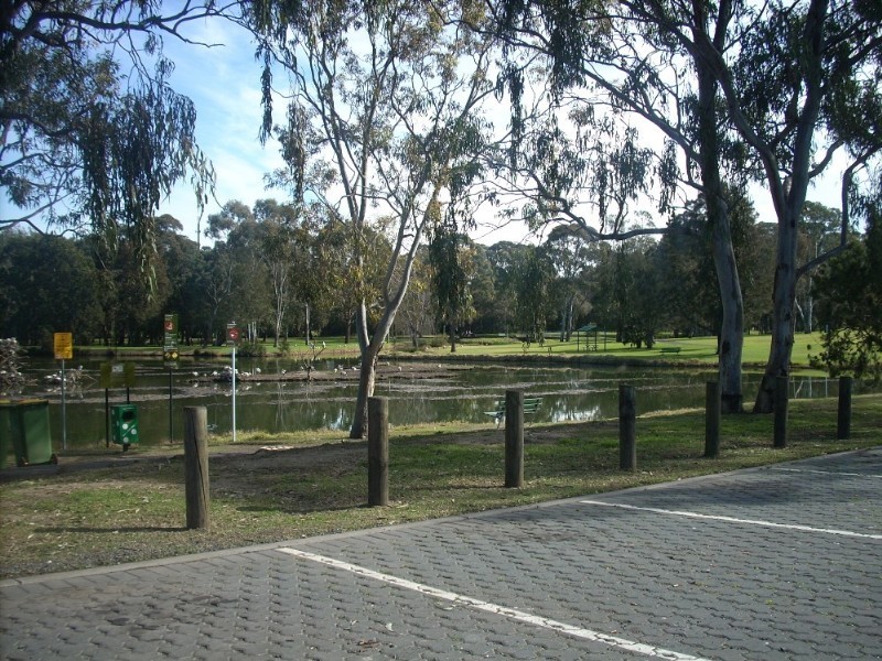 Georges Hall NSW 2198