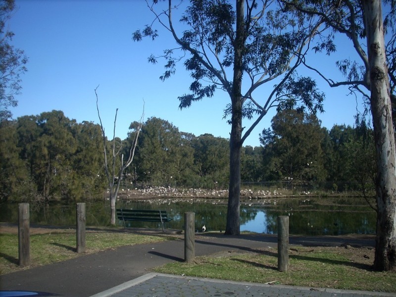 Georges Hall NSW 2198