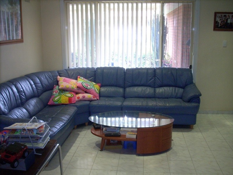 48 Tenella Street, Canley Heights NSW 2166