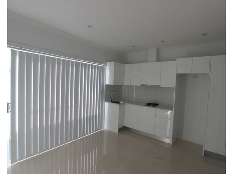 133a River Avenue, Fairfield East NSW 2165