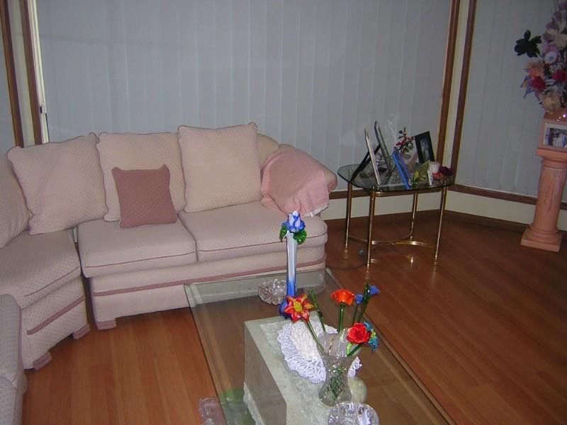 Hinchinbrook NSW 2168