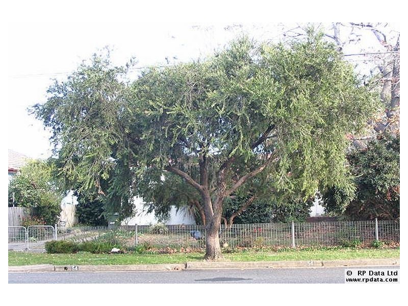 Canley Vale NSW 2166