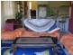 19A Madeline Street, Fairfield NSW 2165