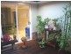 8 Upfield Street, Edensor Park NSW 2176