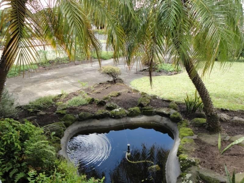 6 Donato Street, Smithfield NSW 2164