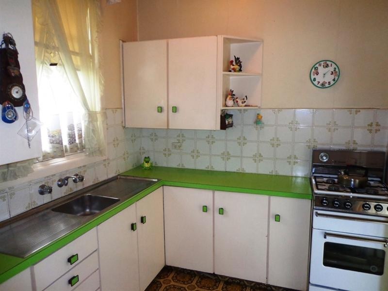 117 River Avenue, Villawood NSW 2163