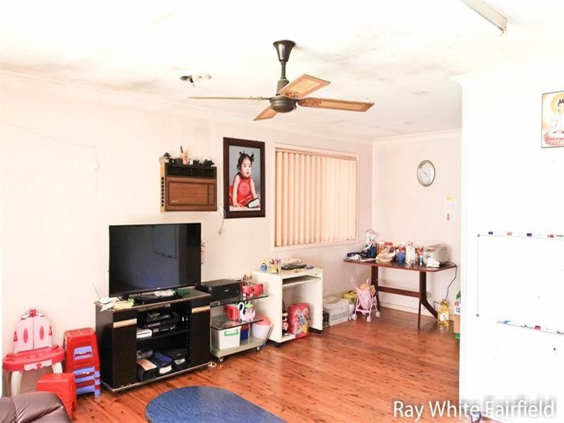 18 Parklea Parade, Canley Heights NSW 2166