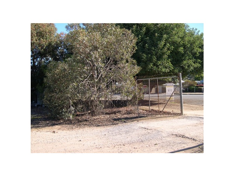 20 Samuel Street, Maitland SA 5573