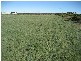 Lot 23 One and All Road, Price SA 5570