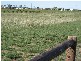 Lot 23 One and All Road, Price SA 5570