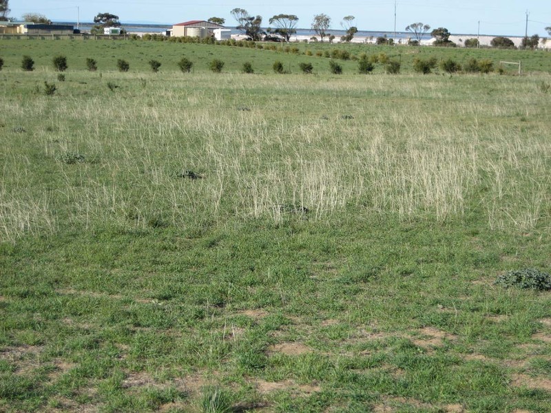 Lot 23 One and All Road, Price SA 5570