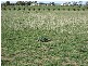 Lot 23 One and All Road, Price SA 5570
