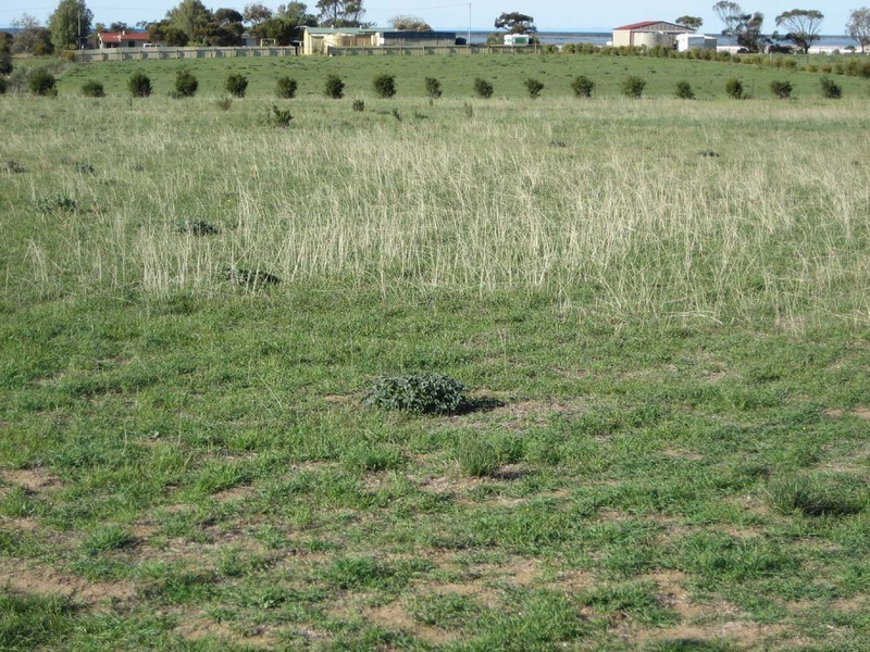 Lot 23 One and All Road, Price SA 5570