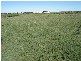 Lot 23 One and All Road, Price SA 5570