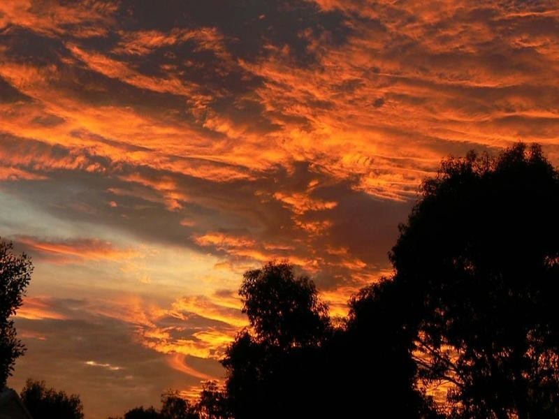 Lt 52 Leonard Ct, Parsons Beach, Minlaton SA 5575