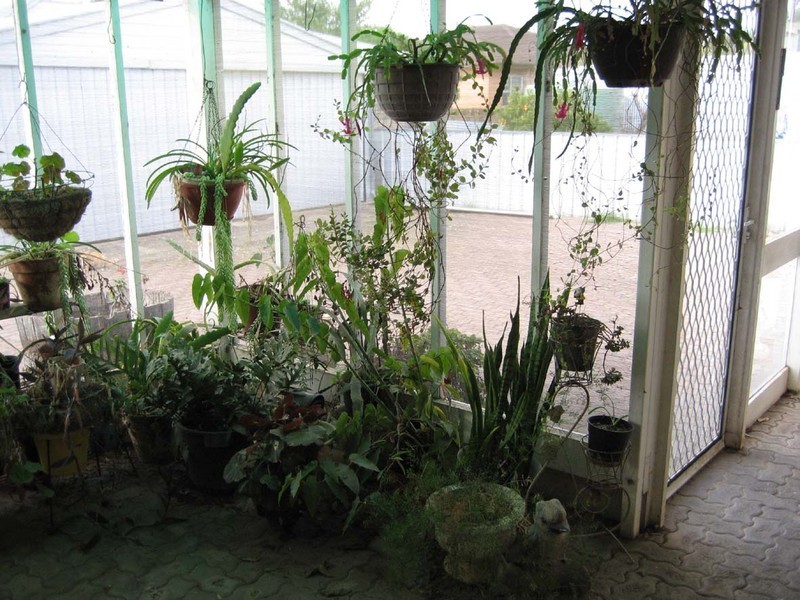 6 South Terrace, Minlaton SA 5575