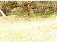 Lot 9 10 West Beach Road, Corny Point SA 5575