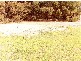 Lot 9 10 West Beach Road, Corny Point SA 5575