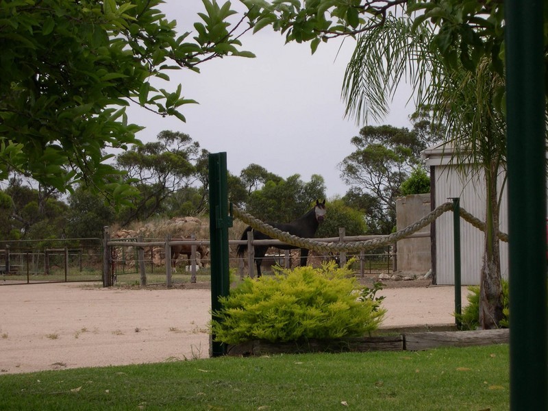 Lot 4 Twelvtrees Road, Wauraltee SA 5573