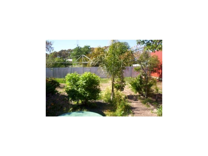 29 Samuel Street, Maitland SA 5573