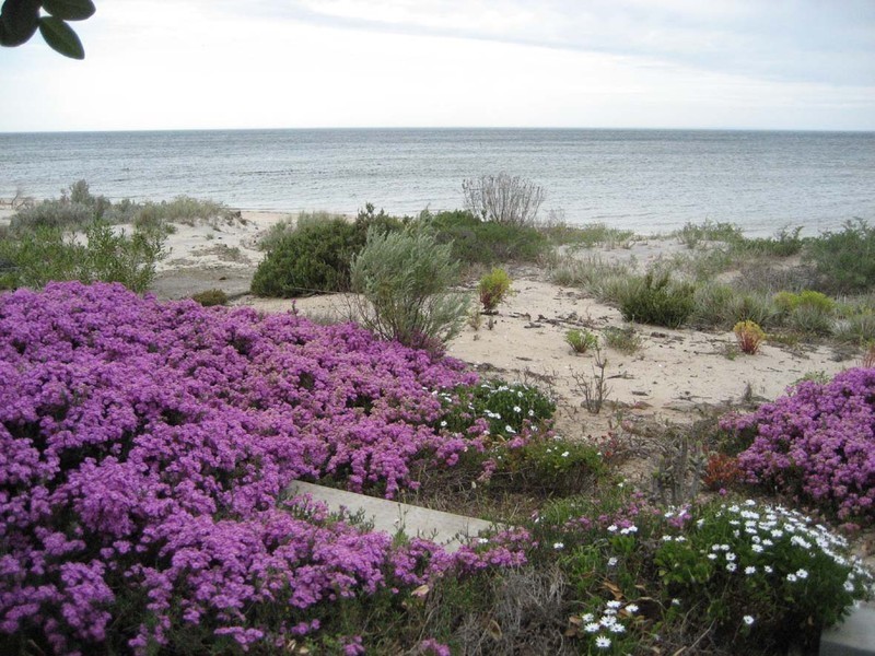 28 Davey Road, Rogues Point SA 5571