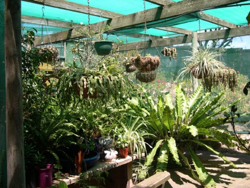 7 Chenoweth Crescent   PARSONS Beach, Bluff Beach SA 5575