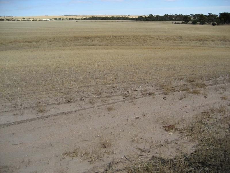 . Moorara Road, Price SA 5570