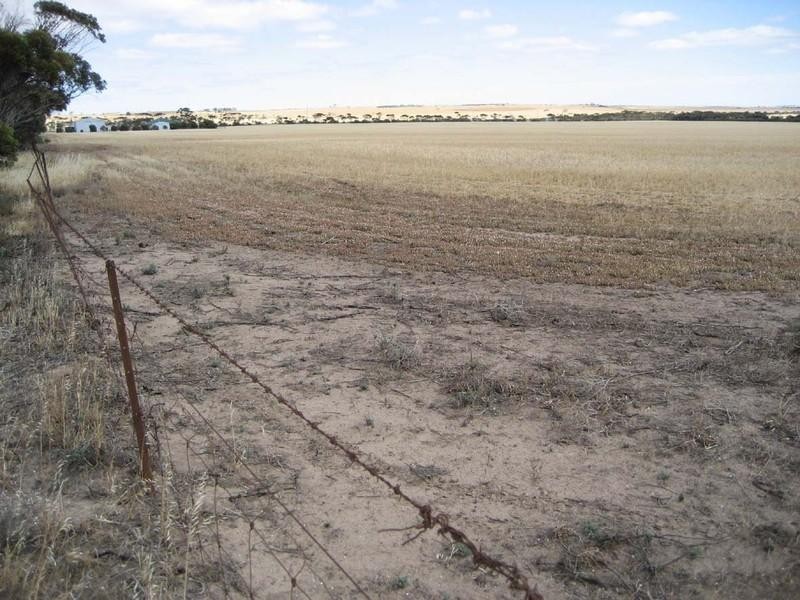 . Moorara Road, Price SA 5570
