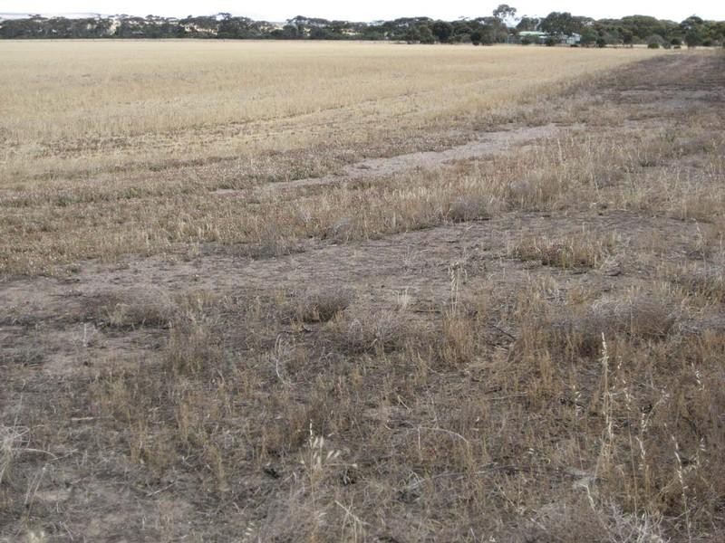 . Moorara Road, Price SA 5570