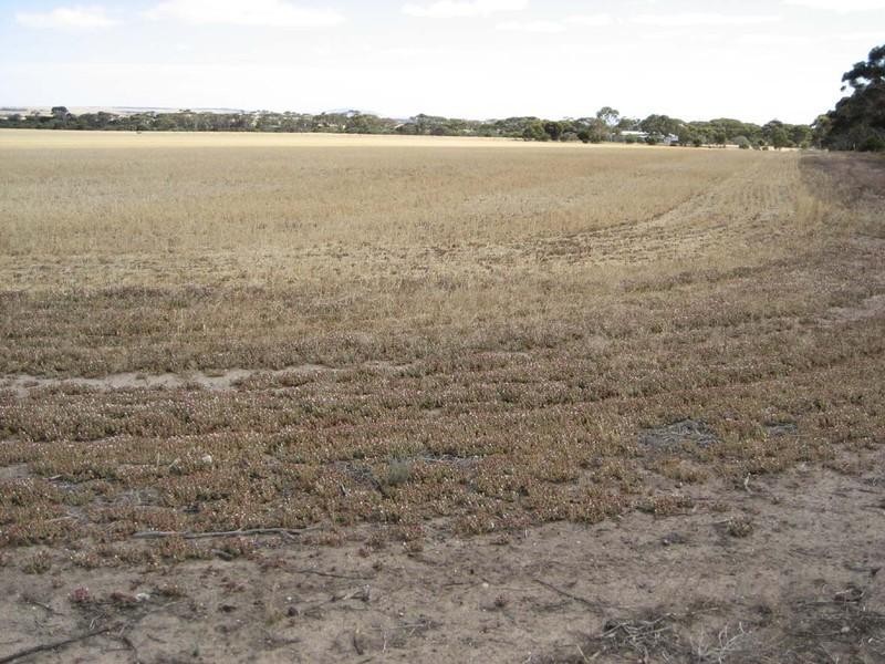 . Moorara Road, Price SA 5570