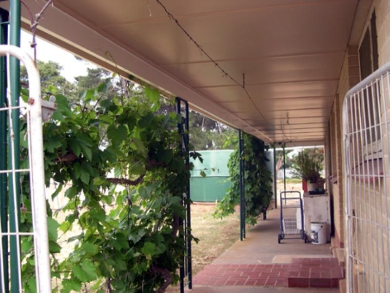 33 North Terrace, Maitland SA 5573