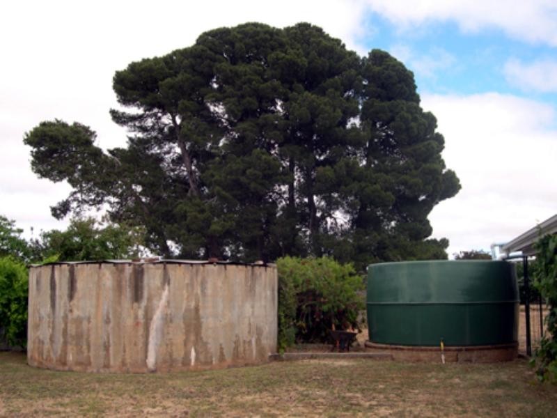 33 North Terrace, Maitland SA 5573