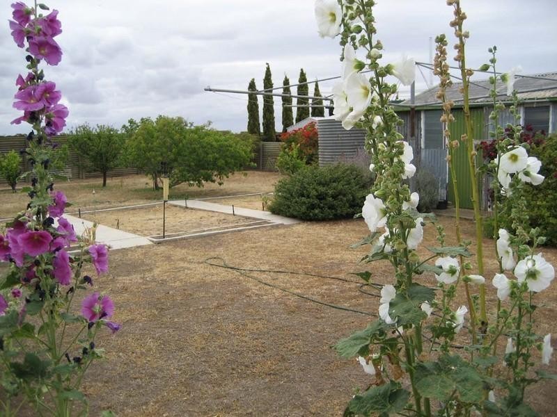 15 Allen Road, Tiddy Widdy Beach SA 5571