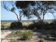 17 Main Street, Pine Point SA 5571