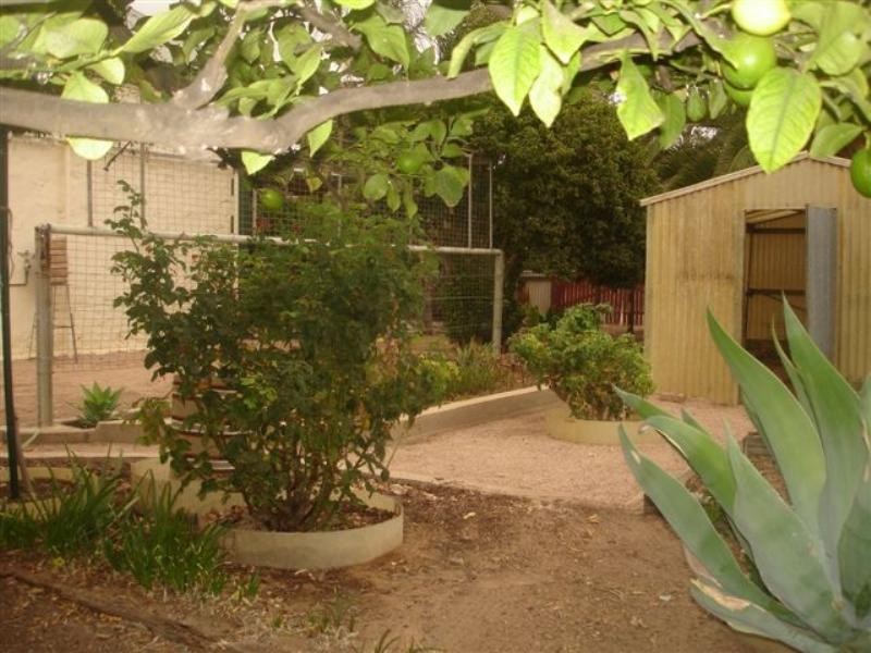 3-5 Lipson Road, Wallaroo Mines SA 5554