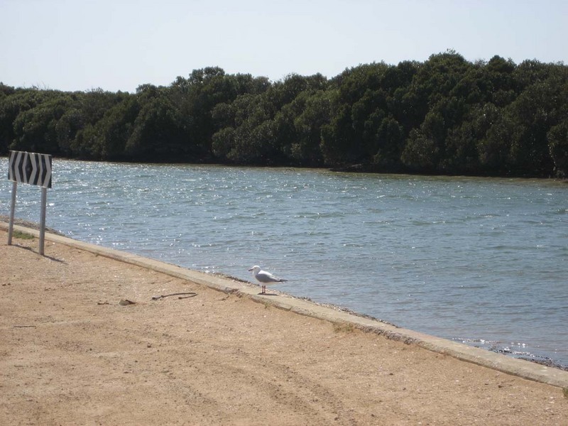 15 Clemintina Street, Price SA 5570